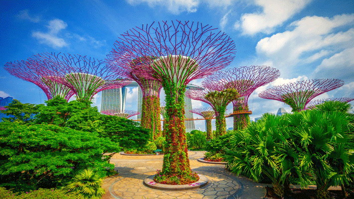 Gardens By The Bay, Singapore.