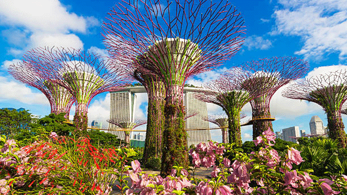 Gardens By The Bay, Singapore.