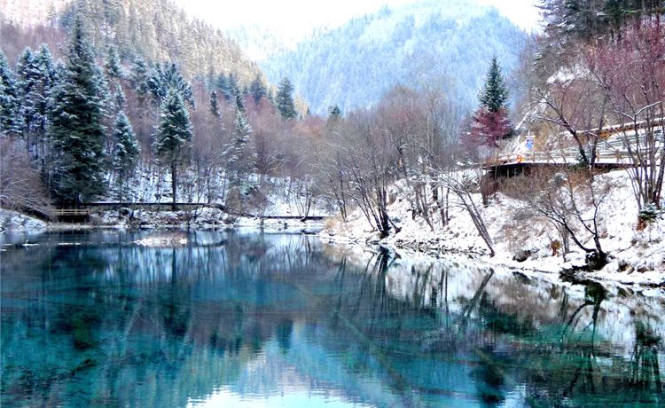 Mùa đông Cửu Trại Câu.