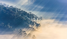 Tư vấn du lịch Đà Lạt