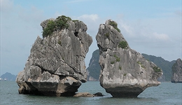 Tư vấn du lịch Vịnh Hạ Long